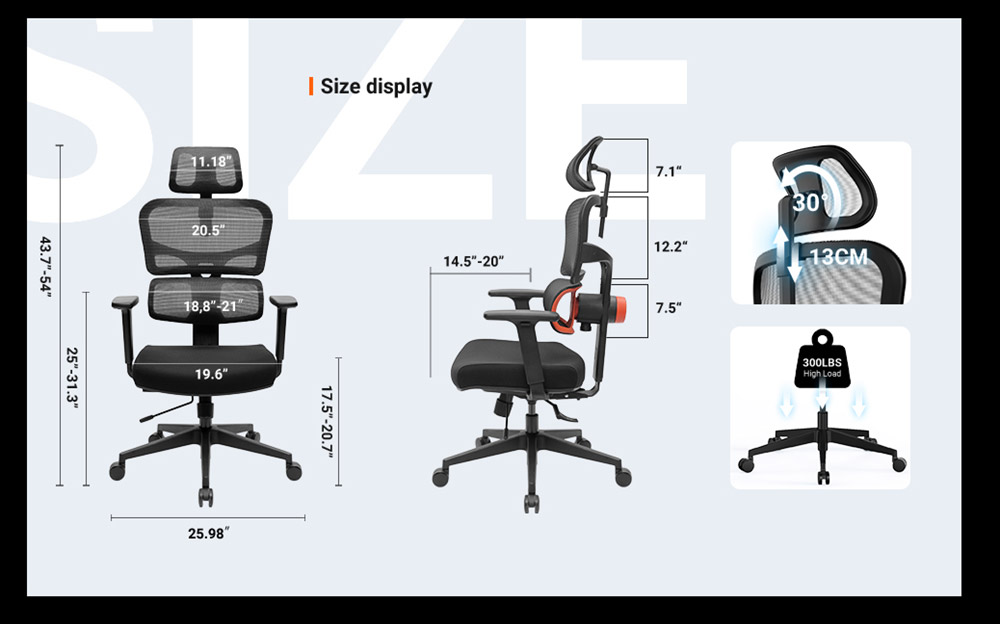 NEWTRAL NT001 Ergonomic Office Chair without Footrest with Fully Adaptive Lumbar Support
