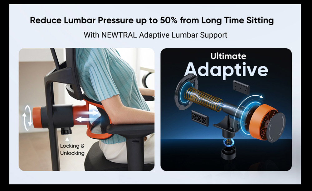 NEWTRAL NT001 Ergonomic Office Chair without Footrest with Fully Adaptive Lumbar Support