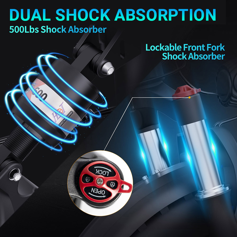 Ridstar H20 Pro Electric Bike 1000W*2 Motor 48V 23AH Battery 20*4 Inch Fat Tires 49km/h Max Speed 112km Range Hydraulic D