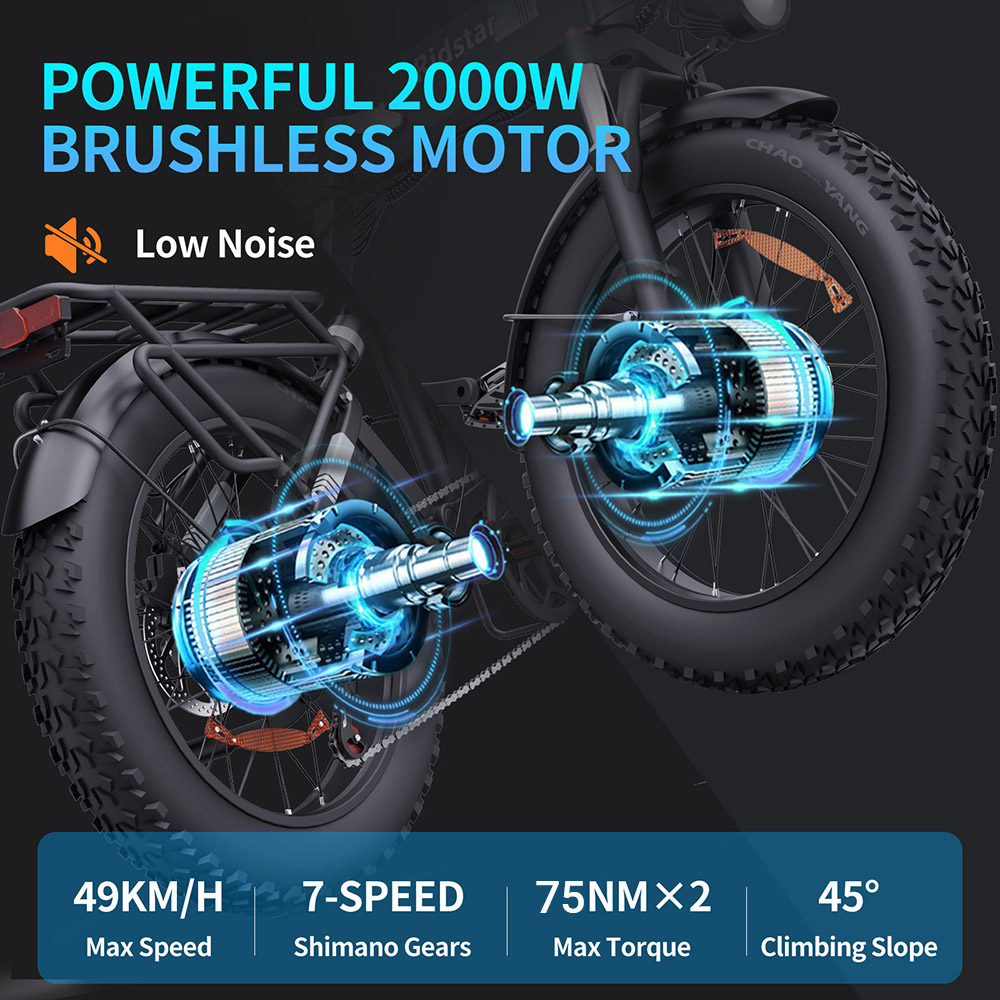 Ridstar H20 Pro Electric Bike 1000W*2 Motor 48V 23AH Battery 20*4 Inch Fat Tires 49km/h Max Speed 112km Range Hydraulic D