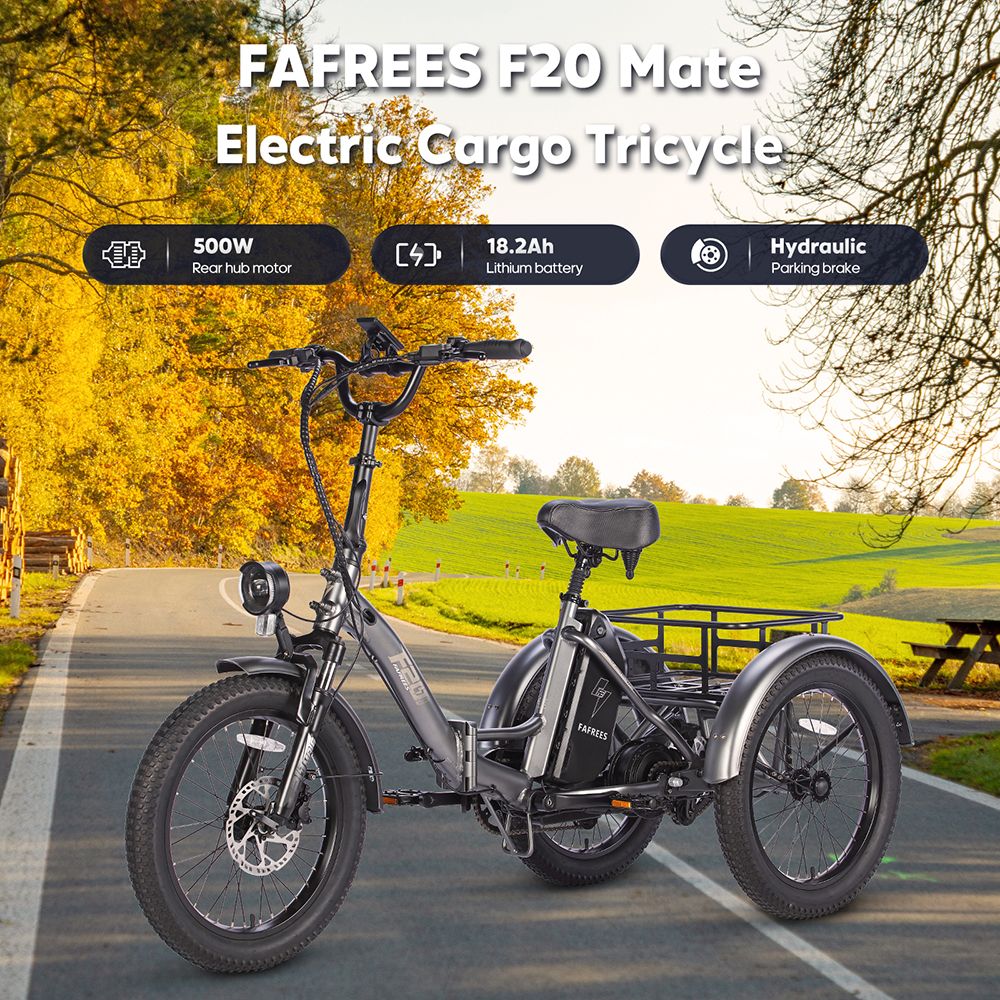 FAFREES F20 Mate Electric Tricycle 500W Brushless Motor 48V/18 2Ah Battery 20*3 0-inch Fat Tires 25km/h Max Speed 110km Ma