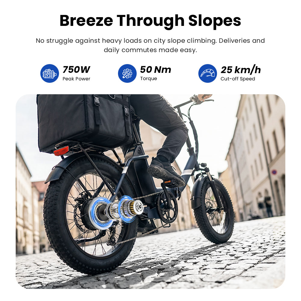 S3 Pro Blue EU Plug Step-Thru 20in 48V 27Ah 250W E-Bike