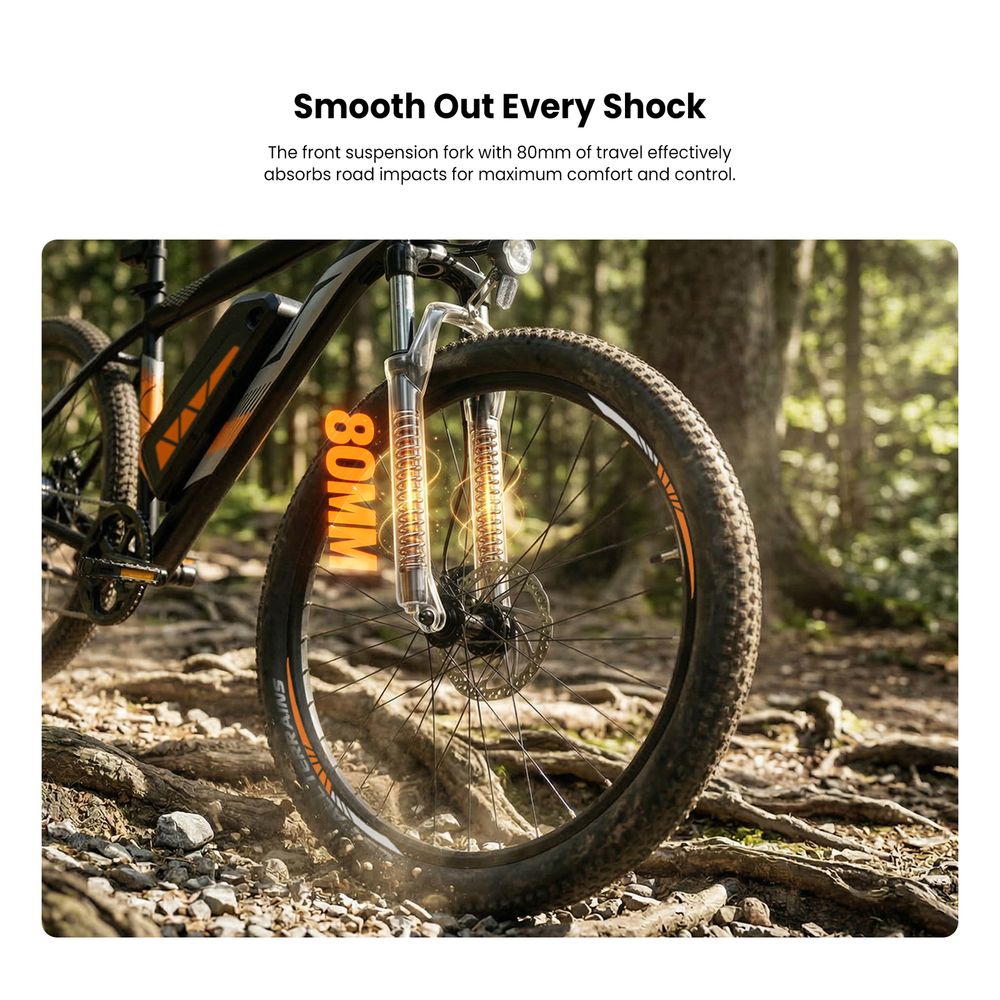U2 Pro EU Plug 29in 48V15Ah E-Bike