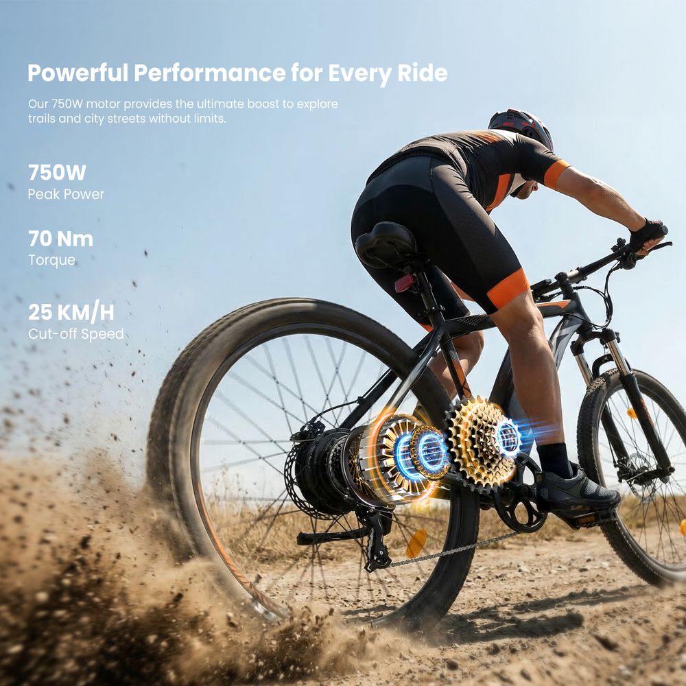 U2 Pro EU Plug 29in 48V15Ah E-Bike