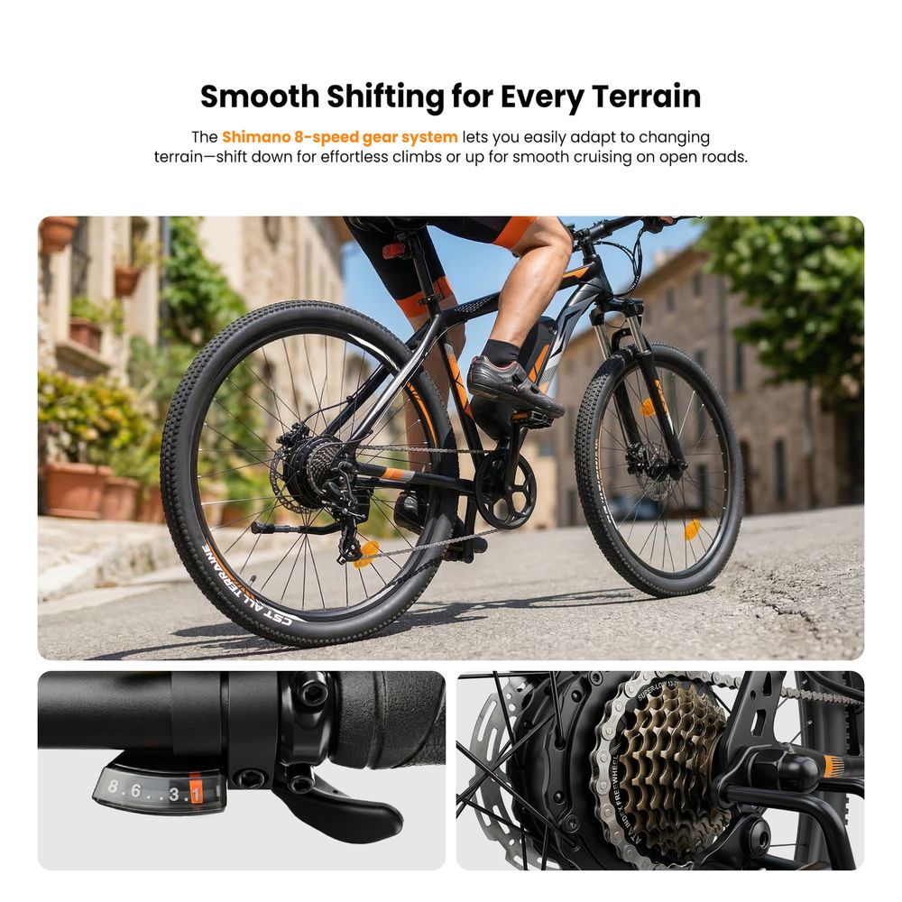 U2 Pro EU Plug 29in 48V15Ah E-Bike