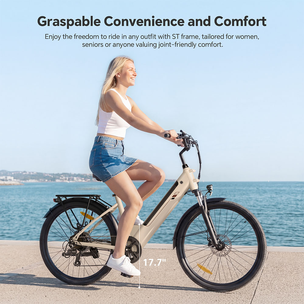 J2 ST Grey EU Plug Step-Thru 26in 36V15 6Ah 250W E-Bike