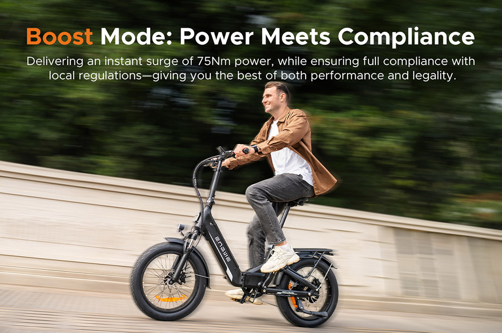 ENGWE L20 3 0 Boost Electric Bike  250W Motor  48V 13 5Ah Battery  20*3 0 inch Tire  135km Max Range  Hydraulic Brakes  Full Su