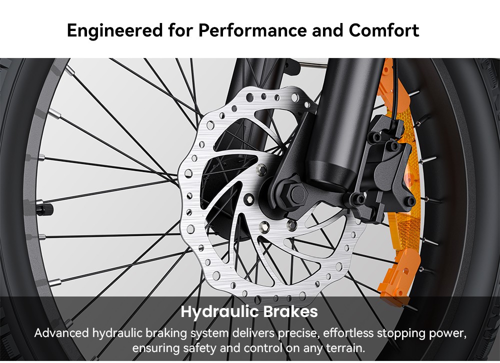 ENGWE L20 3 0 Boost Electric Bike  250W Motor  48V 13 5Ah Battery  20*3 0 inch Tire  135km Max Range  Hydraulic Brakes  Full Su