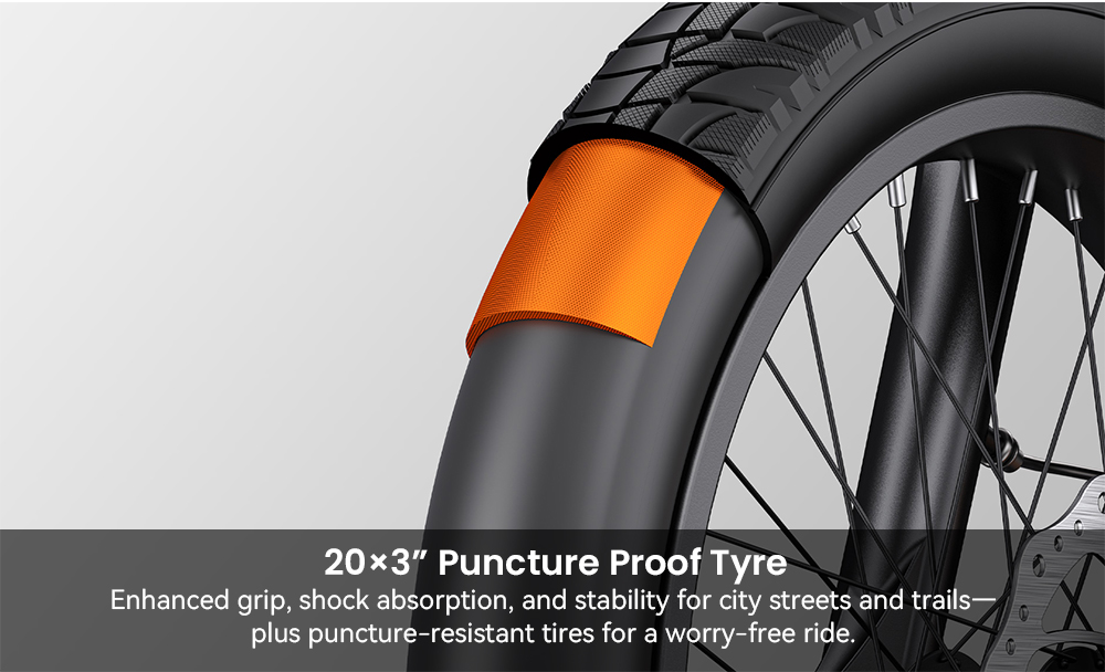 ENGWE L20 3 0 Boost Electric Bike  250W Motor  48V 13 5Ah Battery  20*3 0 inch Tire  135km Max Range  Hydraulic Brakes  Full Su