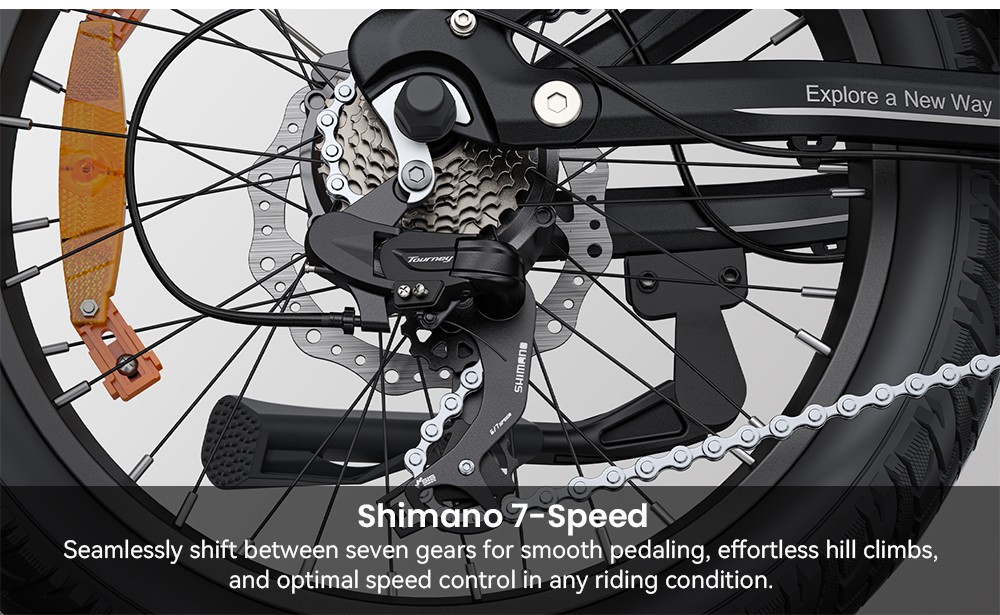 ENGWE L20 3 0 Boost Electric Bike  250W Motor  48V 13 5Ah Battery  20*3 0 inch Tire  135km Max Range  Hydraulic Brakes  Full Su