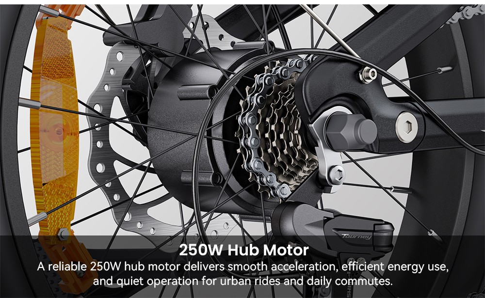 ENGWE L20 3 0 Boost Electric Bike  250W Motor  48V 13 5Ah Battery  20*3 0 inch Tire  135km Max Range  Hydraulic Brakes  Full Su