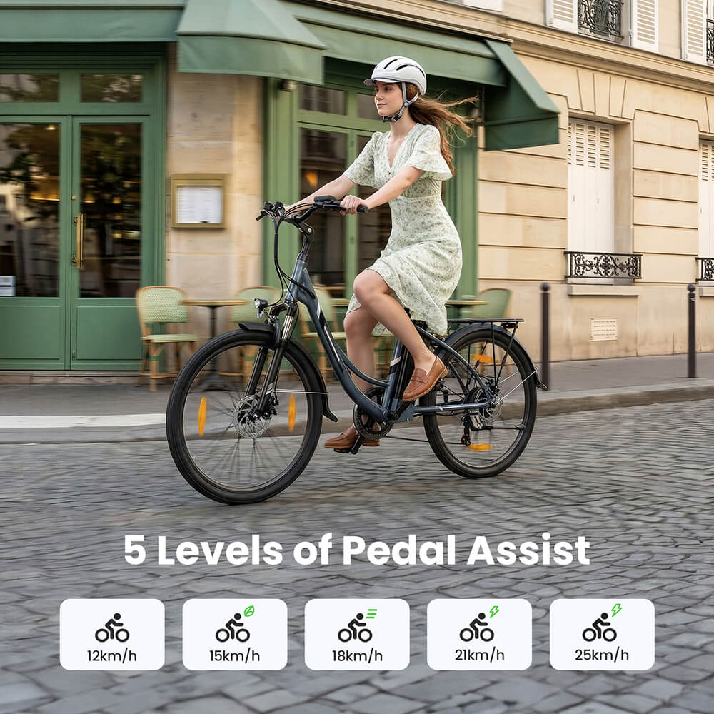 B1 Grey EU Plug Step-Thru 26in 36V15 6Ah 250W E-Bike