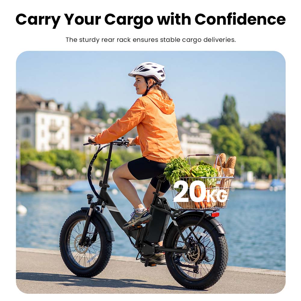 S3 Black EU Plug Step-Thru 20in 36V13Ah 250W E-Bike