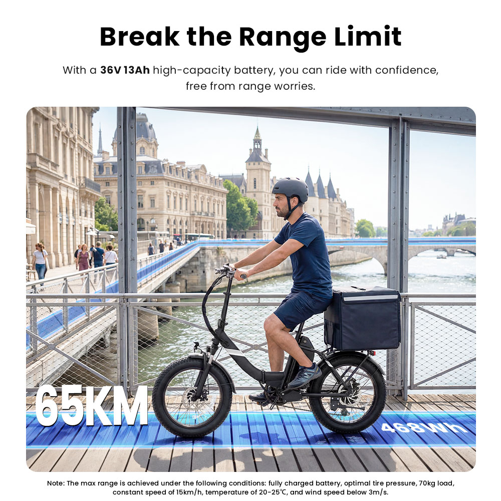 S3 Black EU Plug Step-Thru 20in 36V13Ah 250W E-Bike