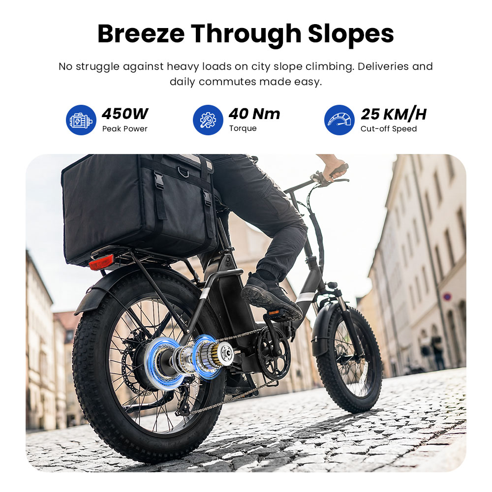 S3 Black EU Plug Step-Thru 20in 36V13Ah 250W E-Bike