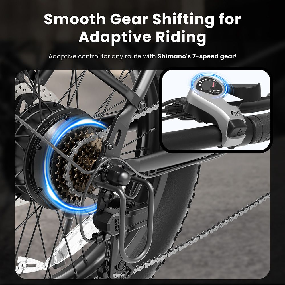 S3 Black EU Plug Step-Thru 20in 36V13Ah 250W E-Bike