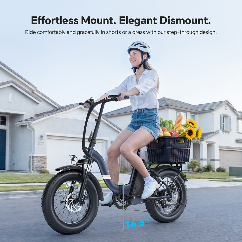 Touroll S2 Blue EU Plug Step-Thru 20in 48V15Ah 250W E-Bike