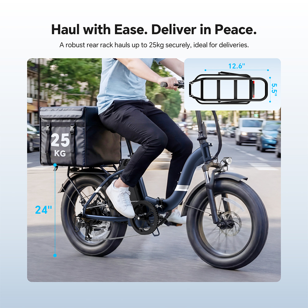 S2 Pro EU Plug 20in 48V15Ah E-Bike