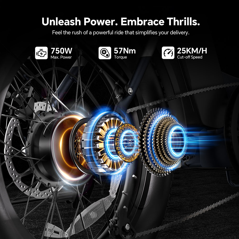 S2 Pro EU Plug 20in 48V15Ah E-Bike