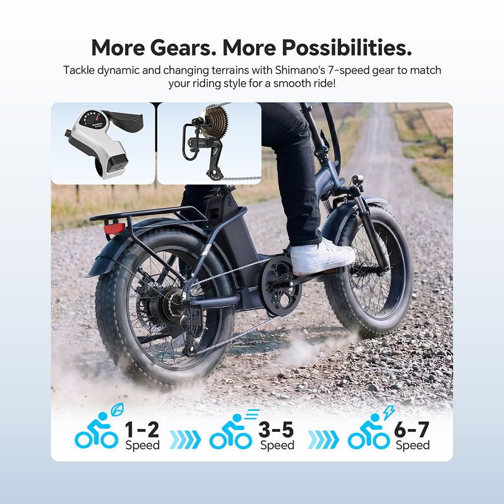 S2 Pro EU Plug 20in 48V15Ah E-Bike