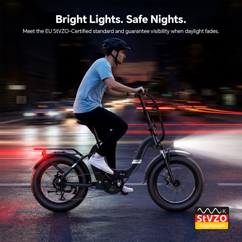 S2 Pro EU Plug 20in 48V15Ah E-Bike