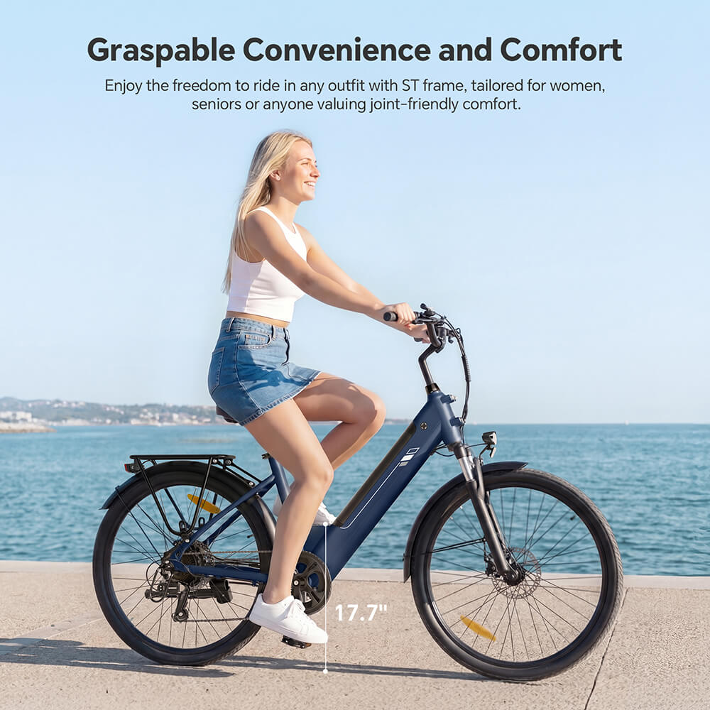 Roamer 2 ST EU Plug Step-Thru 26in 36V15 6Ah 250W E-Bike