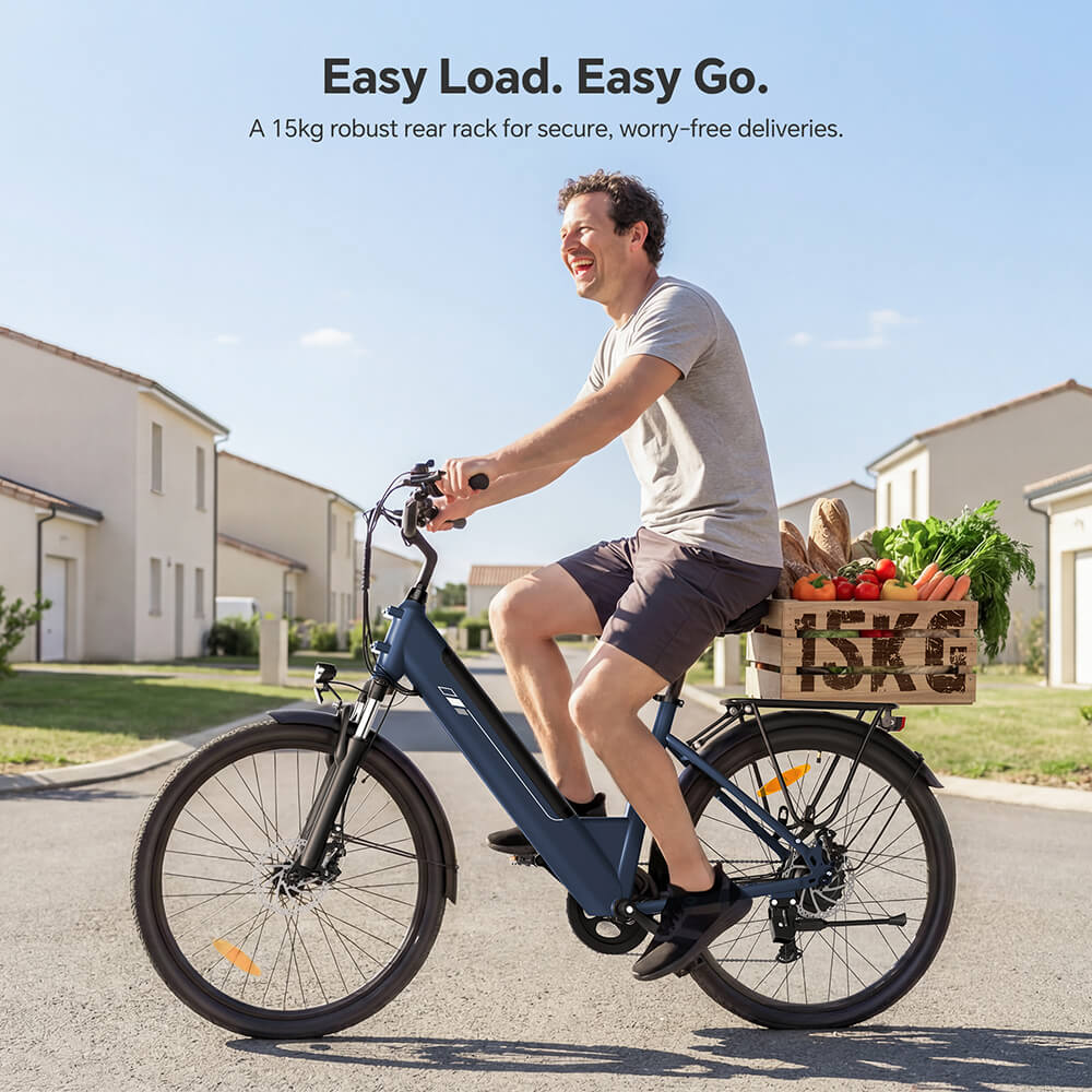 Roamer 2 ST EU Plug Step-Thru 26in 36V15 6Ah 250W E-Bike