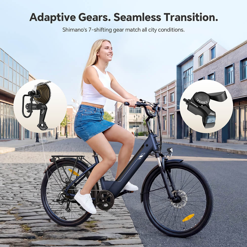 Roamer 2 ST EU Plug Step-Thru 26in 36V15 6Ah 250W E-Bike