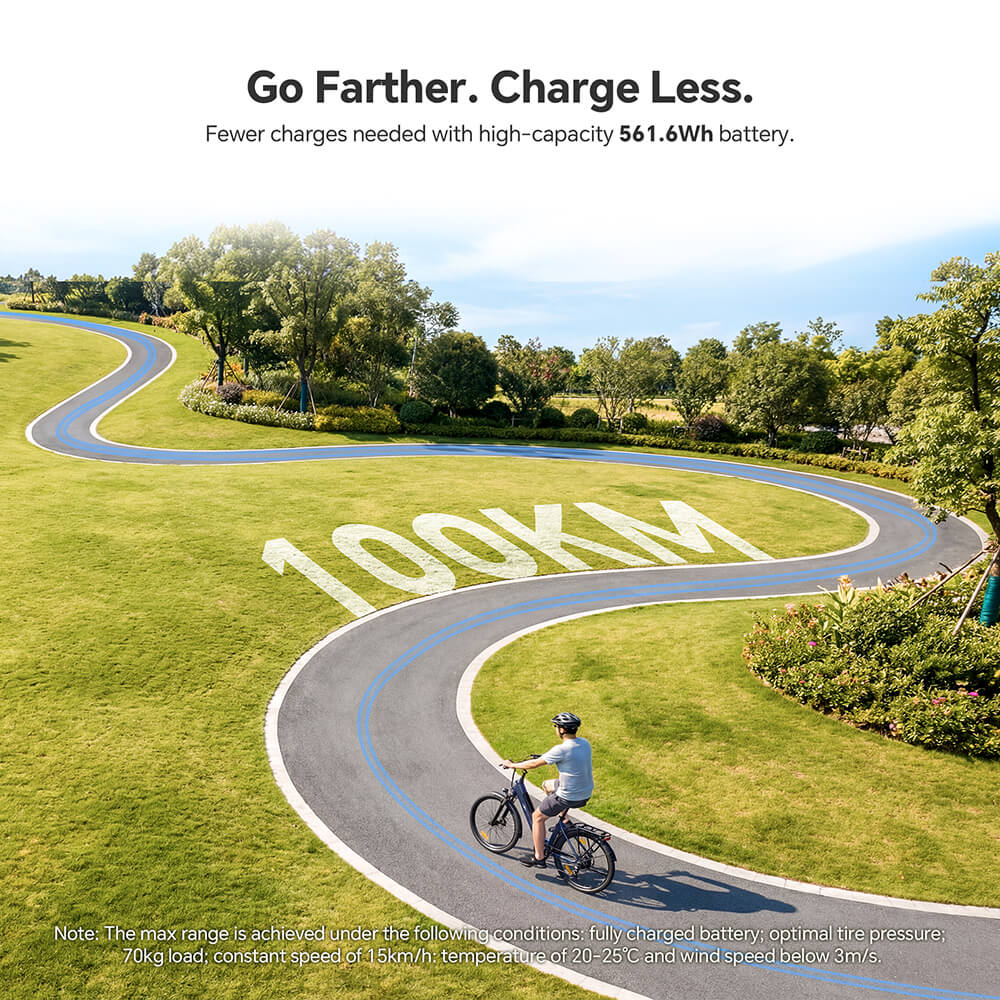 Roamer 2 ST EU Plug Step-Thru 26in 36V15 6Ah 250W E-Bike