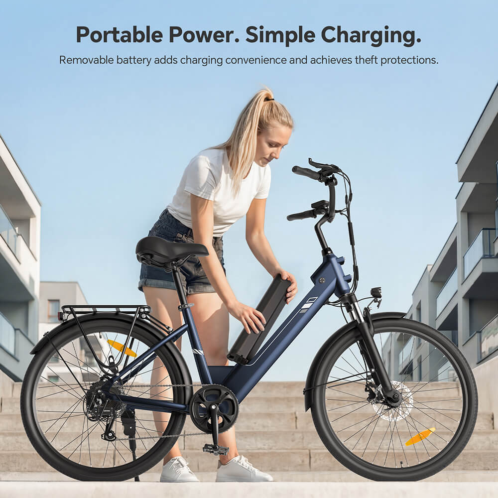 Roamer 2 ST EU Plug Step-Thru 26in 36V15 6Ah 250W E-Bike