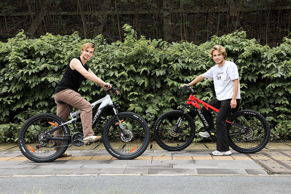 DUOTTS E29 Electric Bike 250W Motor 48V 13 5Ah Battery 27 5 inch Tires 25km/h Max Speed 90km Range Shimano Hydraulic Disc