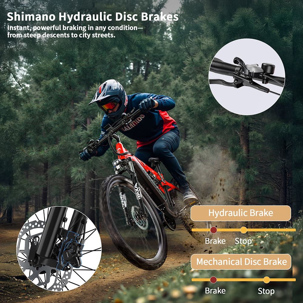 DUOTTS E29 Electric Bike 250W Motor 48V 13 5Ah Battery 27 5 inch Tires 25km/h Max Speed 90km Range Shimano Hydraulic Disc