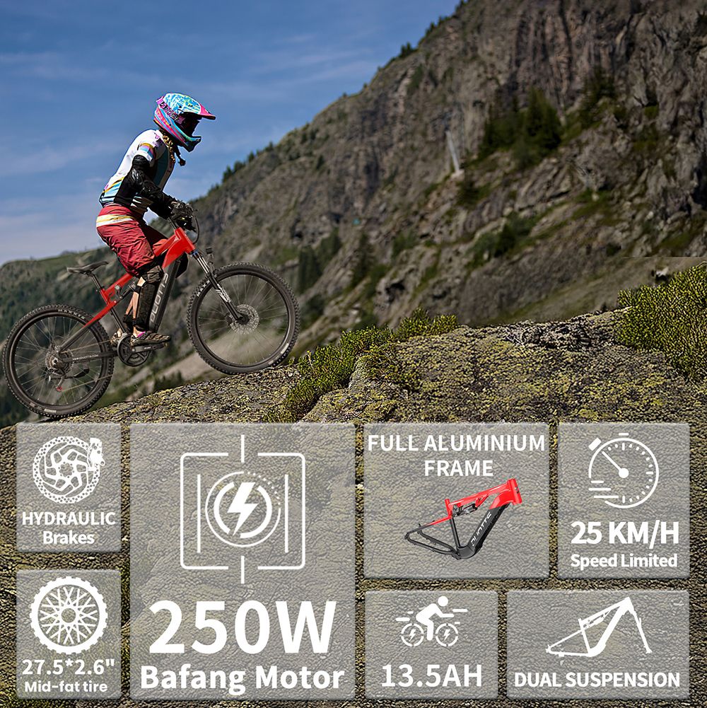 DUOTTS E29 Electric Bike 250W Motor 48V 13 5Ah Battery 27 5 inch Tires 25km/h Max Speed 90km Range Shimano Hydraulic Disc