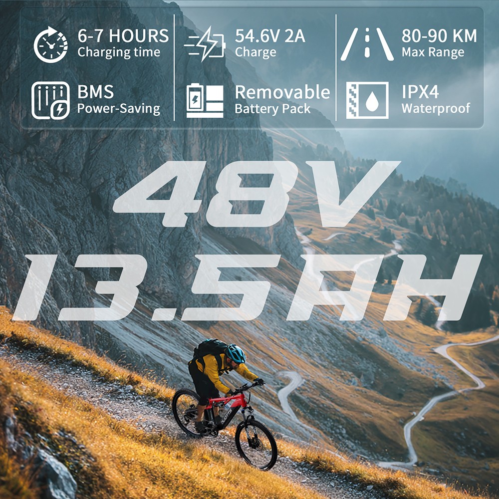 DUOTTS E29 Electric Bike 250W Motor 48V 13 5Ah Battery 27 5 inch Tires 25km/h Max Speed 90km Range Shimano Hydraulic Disc