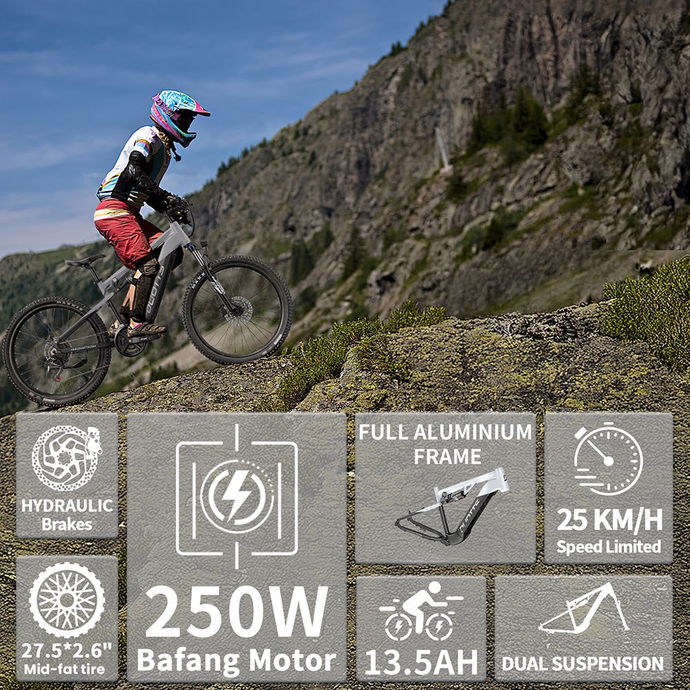 DUOTTS E29 Electric Bike 250W Motor 48V 13 5Ah Battery 27 5 inch Tires 25km/h Max Speed 90km Range Shimano Hydraulic Disc