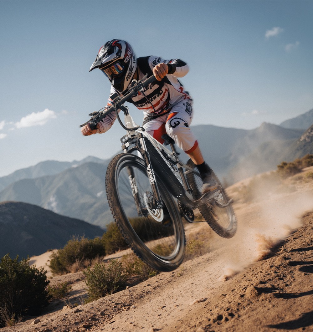 DUOTTS E29 Electric Bike 250W Motor 48V 13 5Ah Battery 27 5 inch Tires 25km/h Max Speed 90km Range Shimano Hydraulic Disc