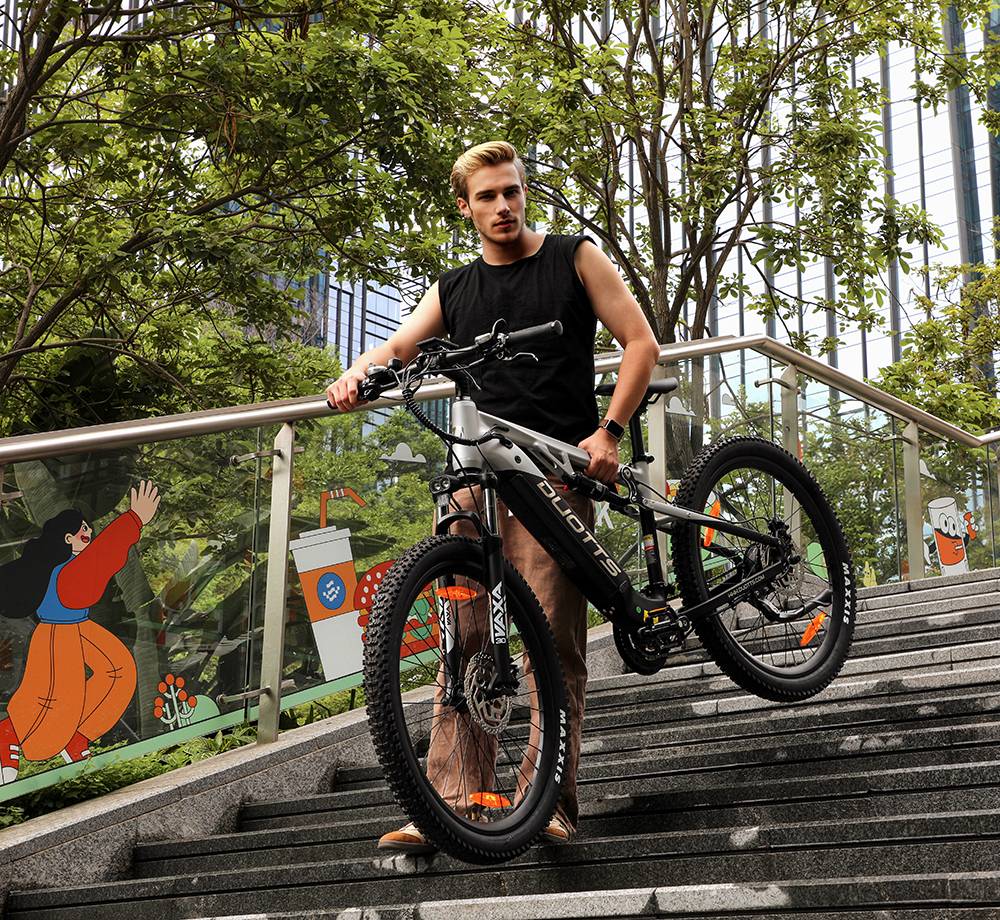 DUOTTS E29 Electric Bike 250W Motor 48V 13 5Ah Battery 27 5 inch Tires 25km/h Max Speed 90km Range Shimano Hydraulic Disc