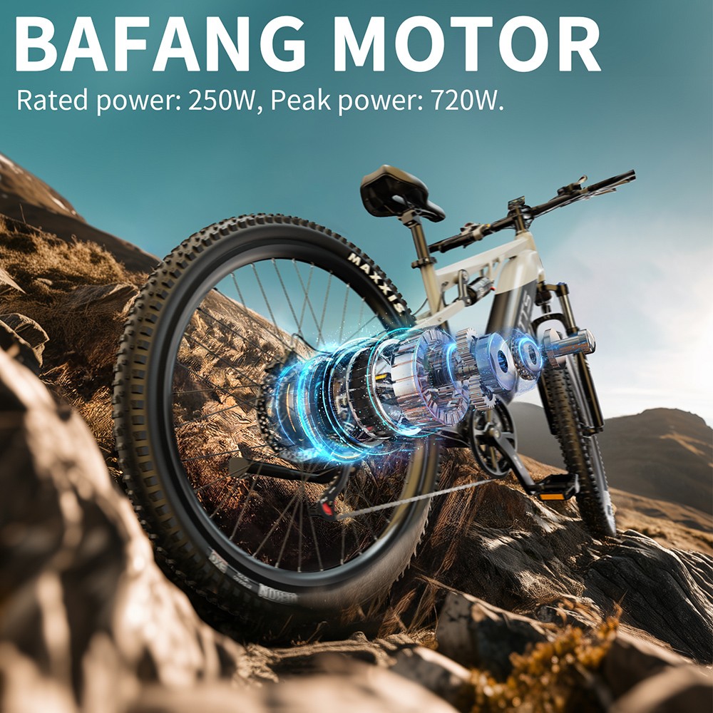 DUOTTS E29 Electric Bike 250W Motor 48V 13 5Ah Battery 27 5 inch Tires 25km/h Max Speed 90km Range Shimano Hydraulic Disc