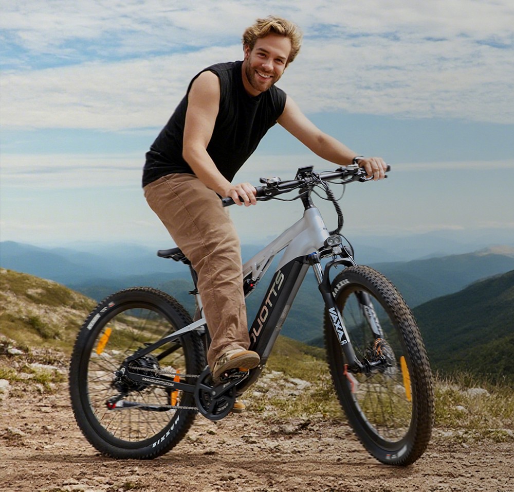 DUOTTS E29 Electric Bike 250W Motor 48V 13 5Ah Battery 27 5 inch Tires 25km/h Max Speed 90km Range Shimano Hydraulic Disc