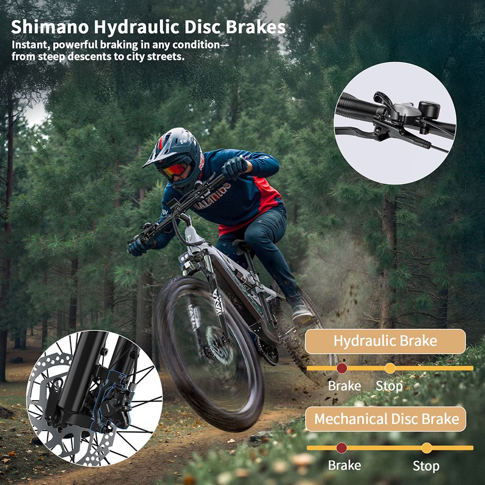 DUOTTS E29 Electric Bike 250W Motor 48V 13 5Ah Battery 27 5 inch Tires 25km/h Max Speed 90km Range Shimano Hydraulic Disc