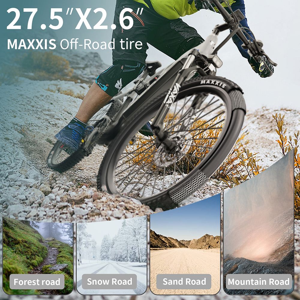 DUOTTS E29 Electric Bike 250W Motor 48V 13 5Ah Battery 27 5 inch Tires 25km/h Max Speed 90km Range Shimano Hydraulic Disc