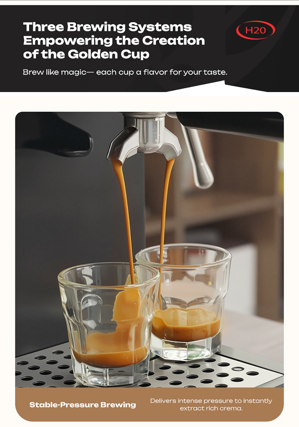 HiBREW H20 All-in-One Coffee Machine with Built-in Grinder  Dual Hot