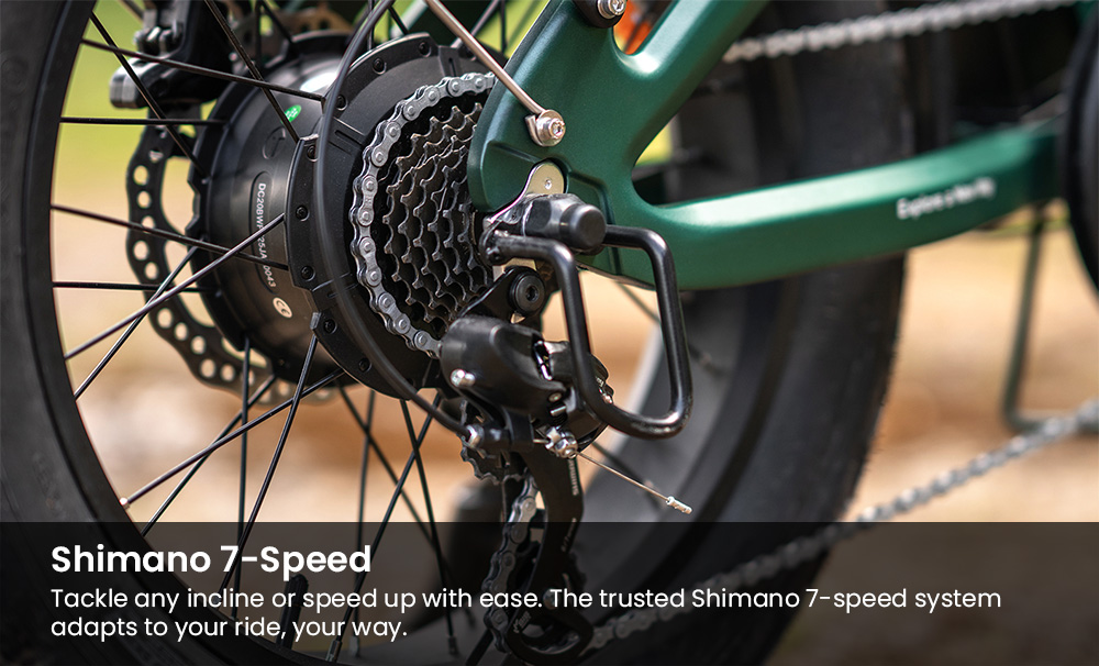 ENGWE EP-2 3 0 Boost Electric Bike 250W Motor 48V 13 5Ah Battery 20*4 inch Tires 120km Max Range Hydraulic Brakes Shimano