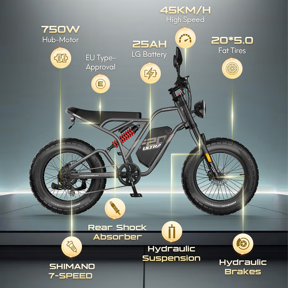 Fafrees F20 Ultra Electric Bike EU L1e-B Certified Version 750W Motor 48V 25Ah Battery 20*5 inch Tires 45km/h Max Speed 14