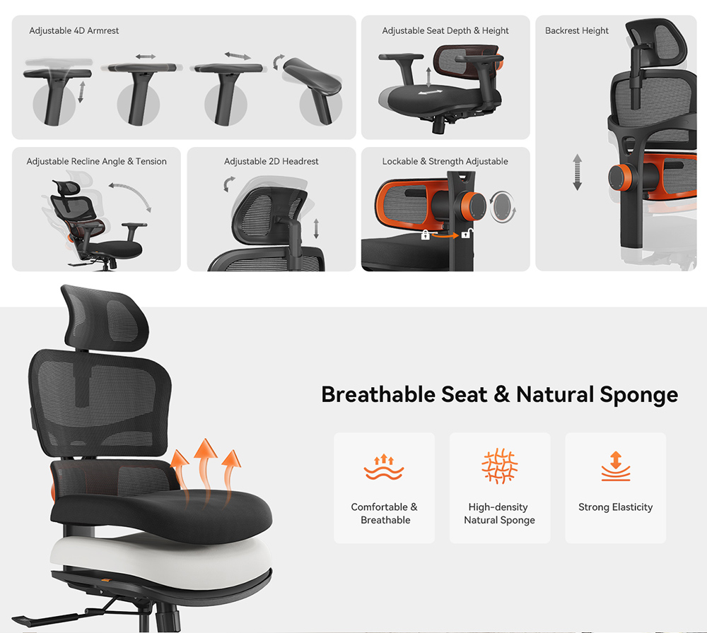 NEWTRAL Chair Standard NT001 Adaptive Lower Back Support Ergonomic Chair Adjustable Armrest Headrest Nylon Base