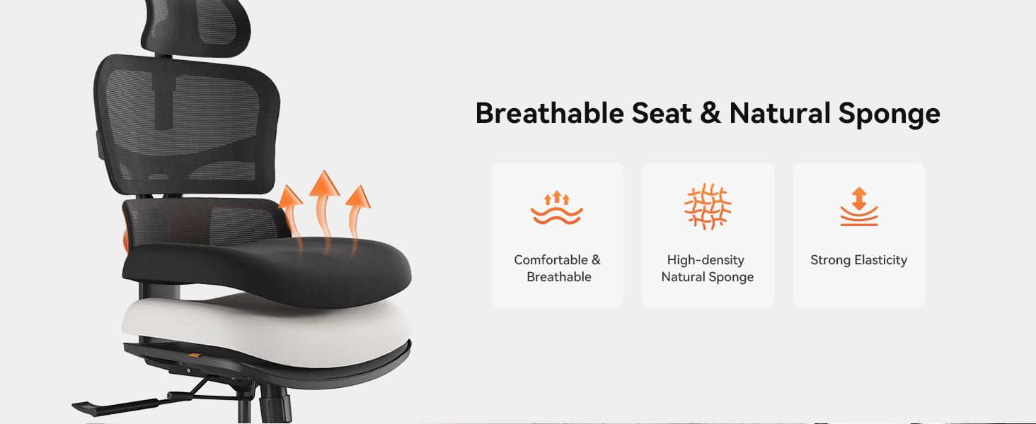 NEWTRAL Chair Standard NT001 Adaptive Lower Back Support Ergonomic Chair Adjustable Armrest Headrest Nylon Base
